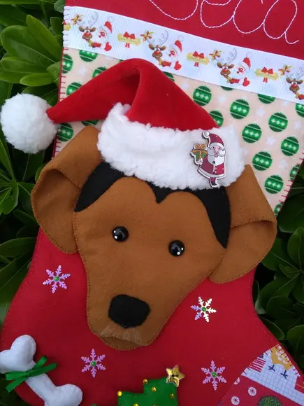 Bota Natal Bichinho de Estimação