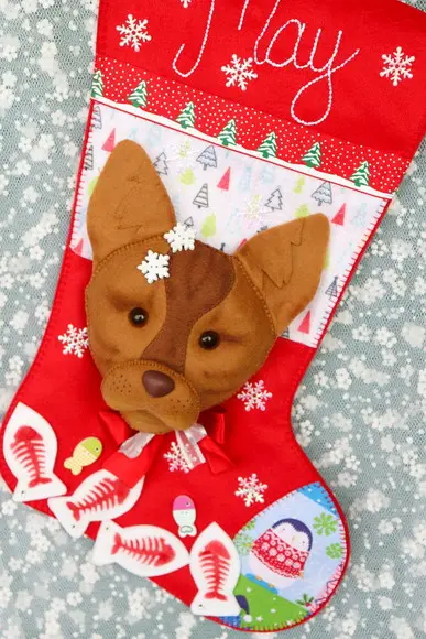 Bota Natal Gato de Estimação