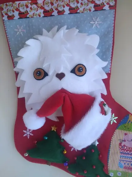 Bota Natal Gato de Estimação