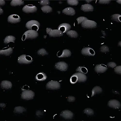 Boal Emborrachada 8mm - 50g