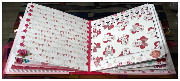 Álbum Minnie Baby