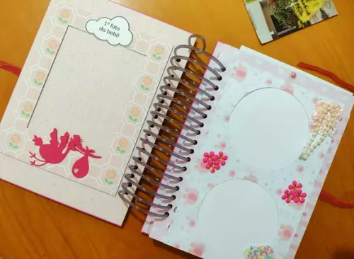 Álbum Mesversário Rosa