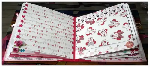 Álbum Minnie Baby