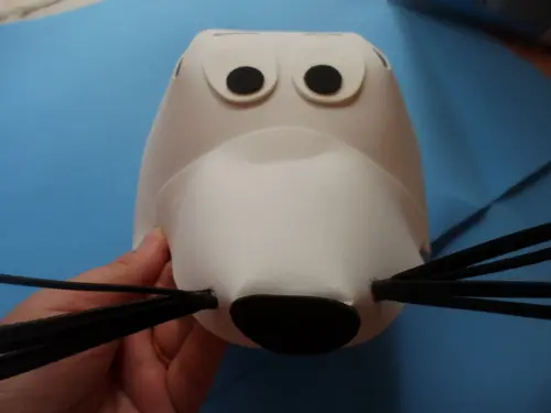 Chapéu Foca
