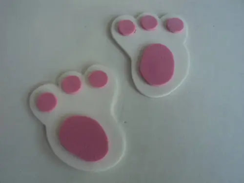 Pegadas De Coelho