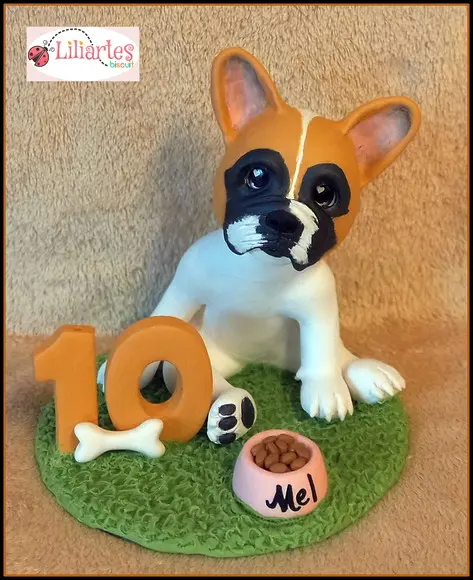 Aniversário Melhor Amigo-pet 20cm