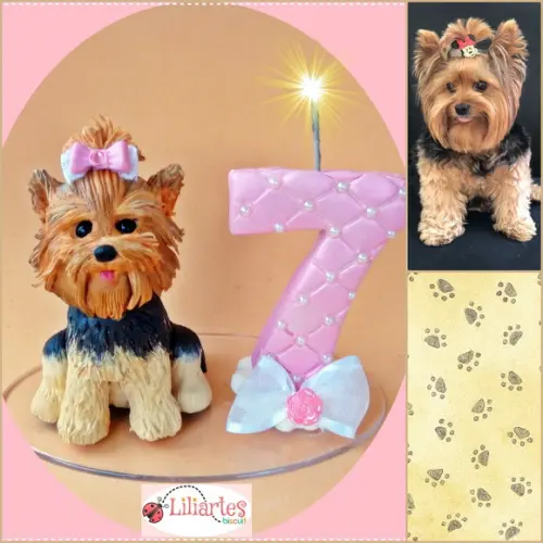 Vela Aniversário Pet