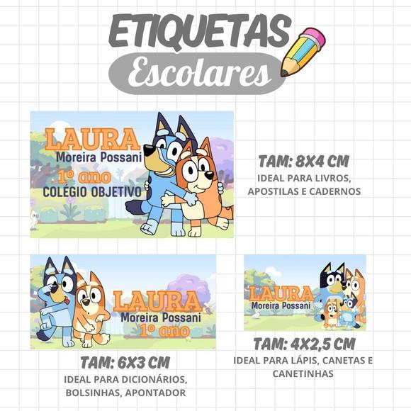 Kit Etiquetas Escolares 88 Unidades Femininas