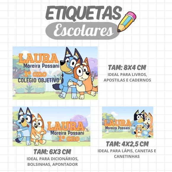 Kit Etiquetas Escolares 88 Unidades Femininas