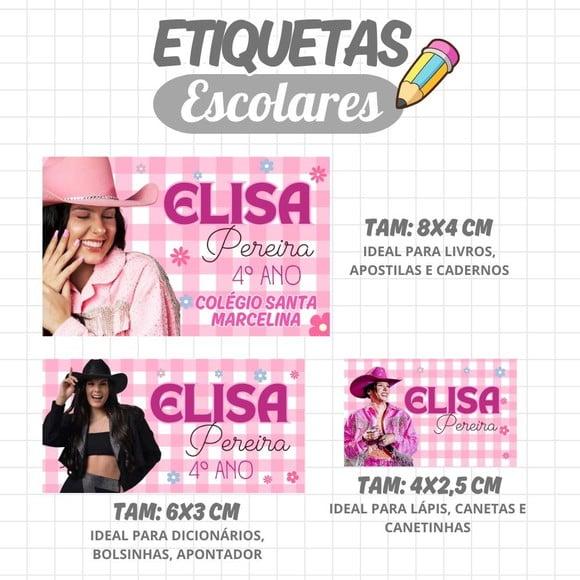 Kit Etiquetas Escolares 88 Unidades Femininas