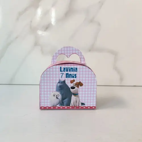 Caixa 3d Maletinha Round Pets a Vida Secreta dos Bichos