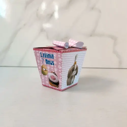 Caixa Sushi Pets a Vida Secreta dos Bichos