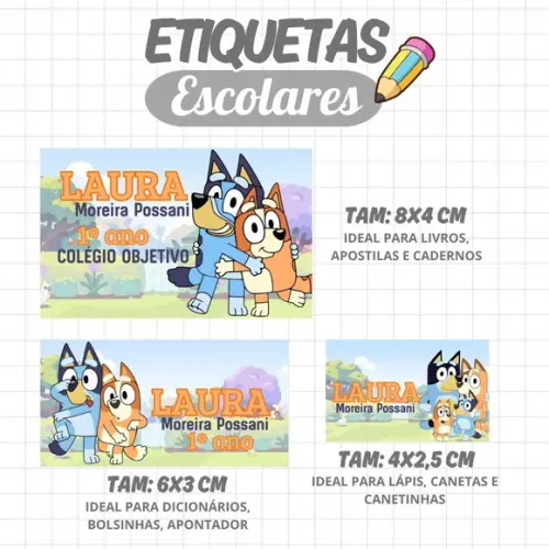 Kit Etiquetas Escolares 88 Unidades Femininas