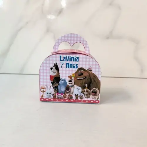 Caixa 3d Maletinha Round Pets a Vida Secreta dos Bichos
