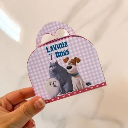Caixa 3d Maletinha Round Pets a Vida Secreta dos Bichos