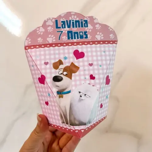 Caixa Coração Pets a Vida Secreta dos Bichos