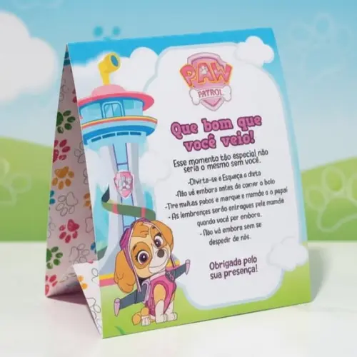 Placa de Agradecimento Sky Patrulha Canina Centro de Mesa