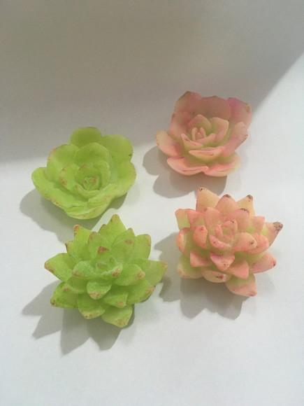 20 Sabonetes Suculenta com Pintura Suculentas /
