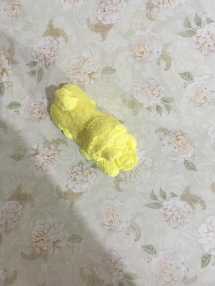 Sabonete cachorro com tijela (a tijela pode ser pintada)