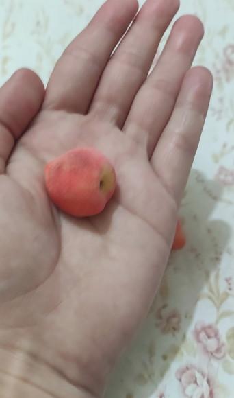 Sabonete Mini Pêssego