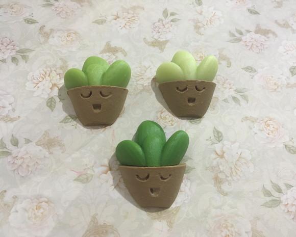 Sabonete suculenta no vaso cute