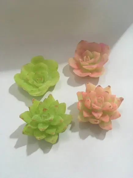 20 Sabonetes Suculenta com Pintura Suculentas /