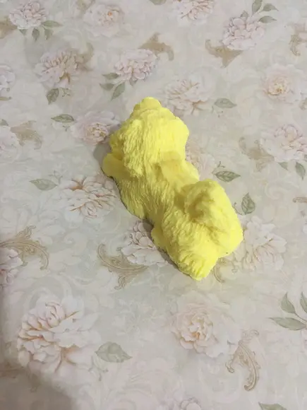 Sabonete cachorro com tijela (a tijela pode ser pintada)