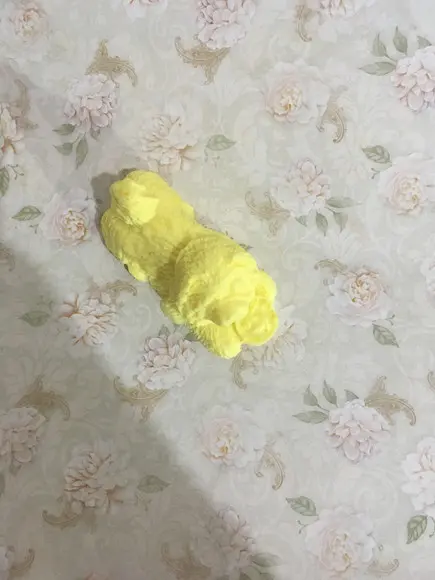 Sabonete cachorro com tijela (a tijela pode ser pintada)