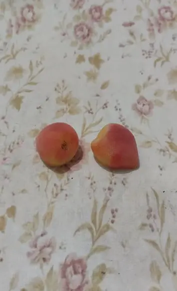 Sabonete Mini Pêssego