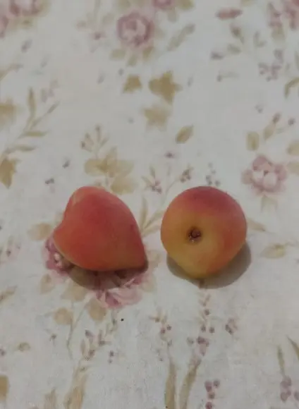 Sabonete Mini Pêssego