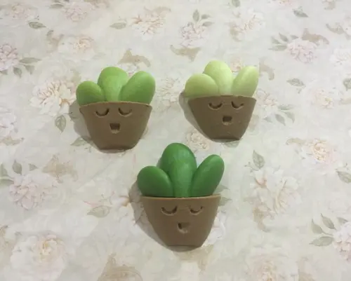 Sabonete suculenta no vaso cute