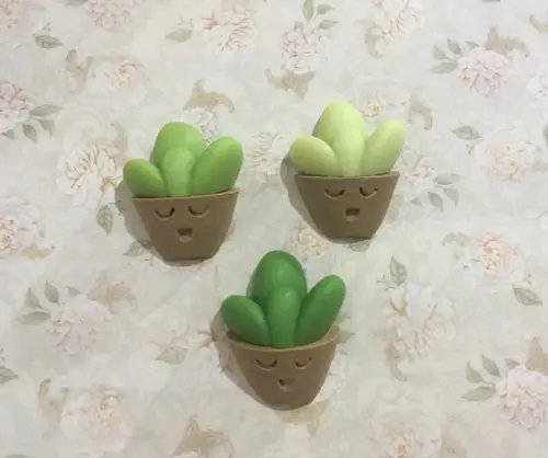 Sabonete suculenta no vaso cute