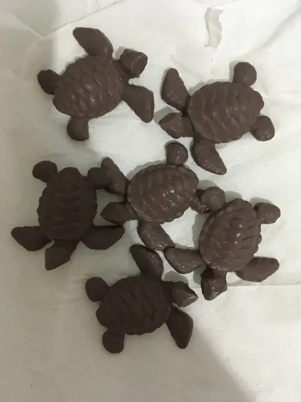 Sabonete Tartaruga