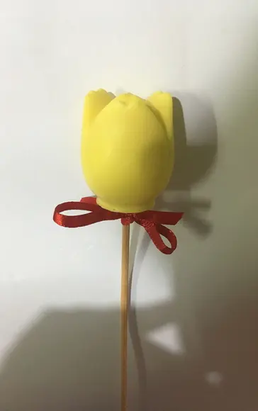 Sabonete Tulipa G