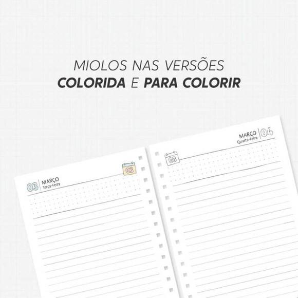 Arquivo Digital Combo Agenda para Colorir 2026