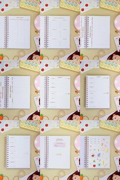 Arquivo Digital Combo Agendas Escolares 2026 01