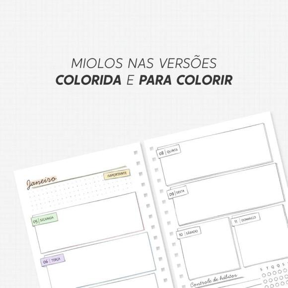 Arquivo Digital Combo Planner para Colorir 2026