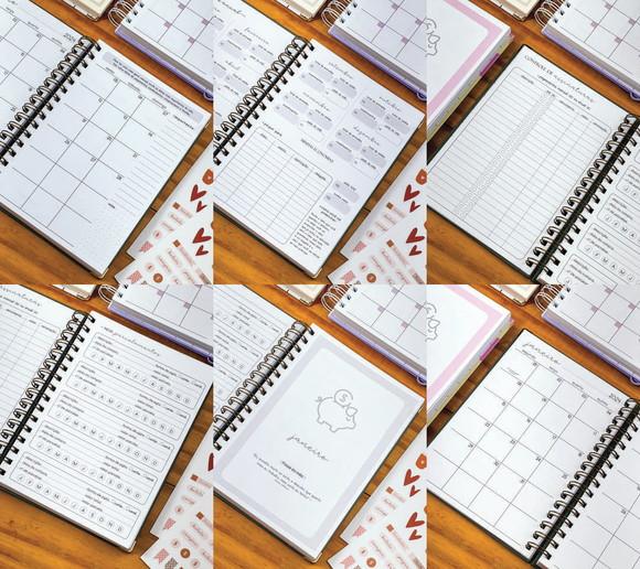 Arquivo Digital Planner Financeiro 2024