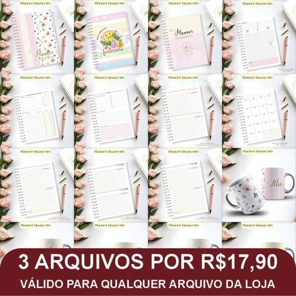 Arquivo Digital Planner Financeiro 2025