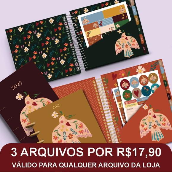 Combo Digital Ave do Norte 2025