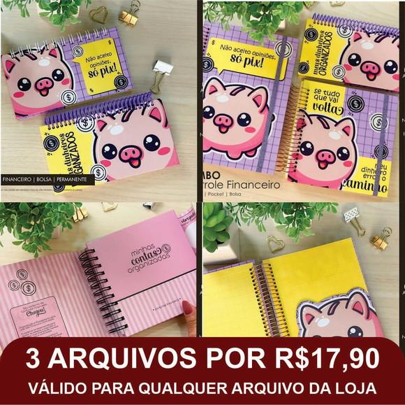 Combo Digital Controle Financeiro A5, Pocket, Bolsa