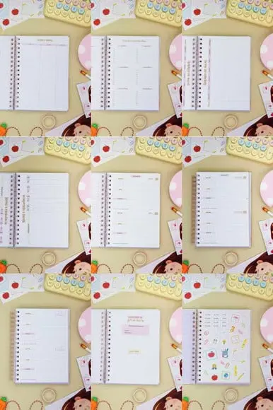 Arquivo Digital Combo Agendas Escolares 2026 01