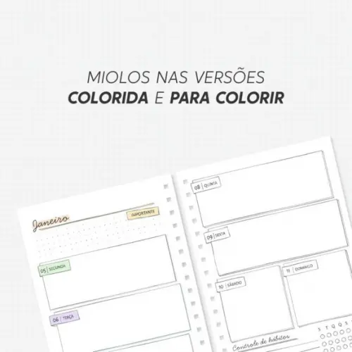 Arquivo Digital Combo Planner para Colorir 2026
