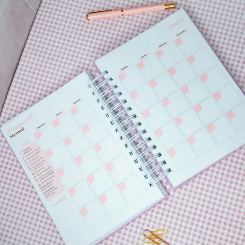 Arquivo Digital Planner da Empreendedora e Artesã 2026