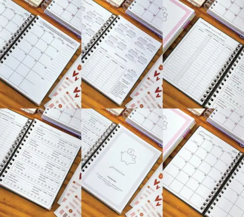 Arquivo Digital Planner Financeiro 2024