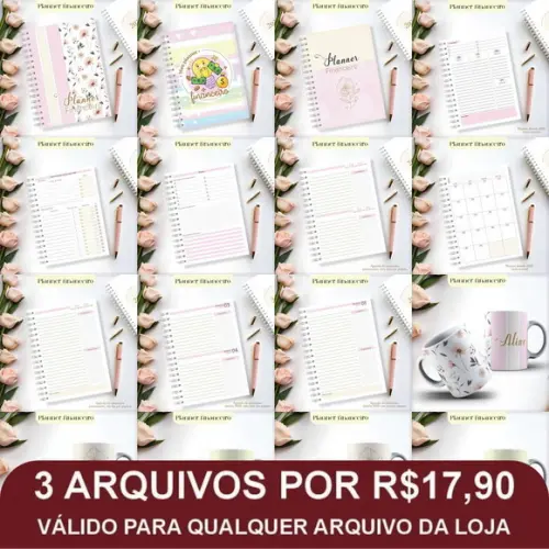 Arquivo Digital Planner Financeiro 2025