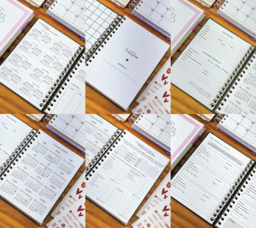 Arquivo Digital Planner Financeiro 2024