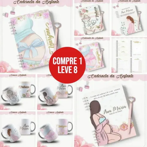 Kit Digital Caderneta da Gestante 02