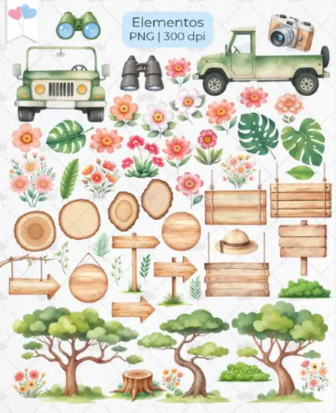 Kit Digital Safari