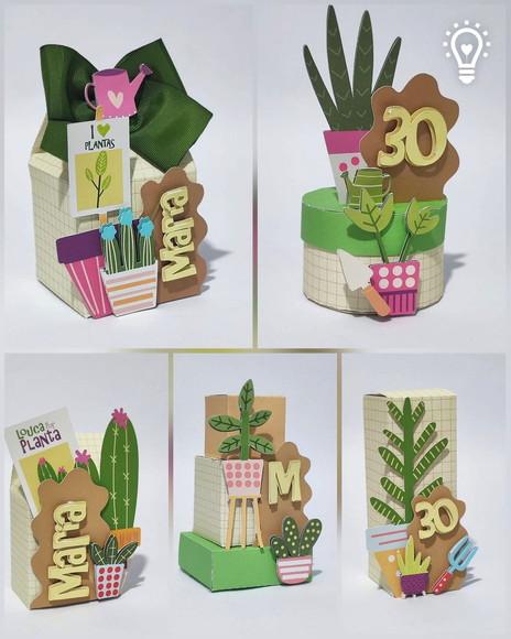 Kit Festa Plantas